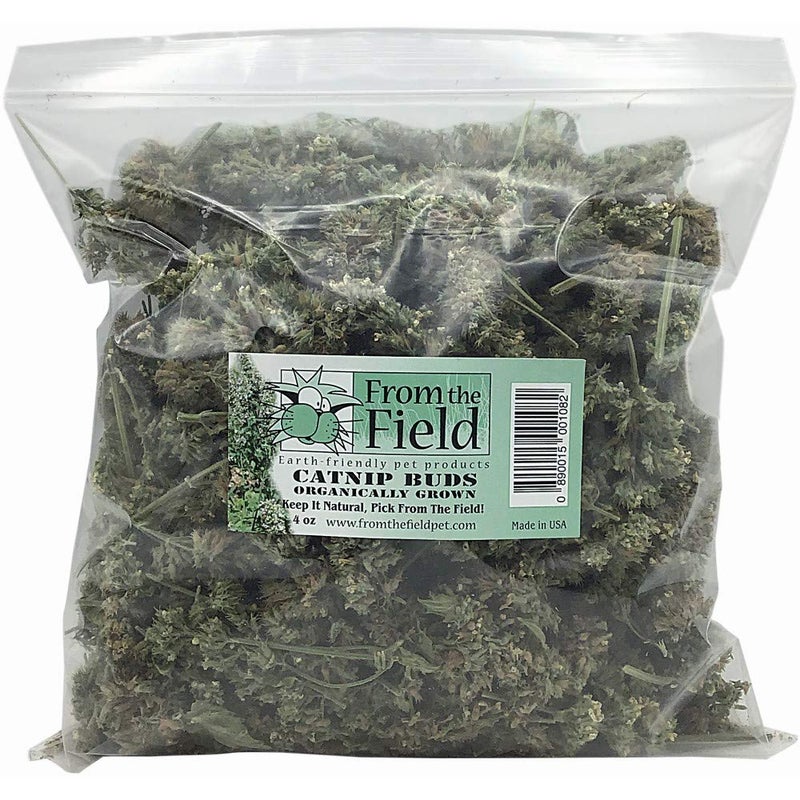 from The Field | Premium Whole Catnip Buds for Cats | Organic, USA-Grown, Fresh & Potent | Natural, Eco-Friendly Cat Treat for Play & Relaxation | Catnip for Indoor Cats | Resealable 4 OZ Bag - Image 1